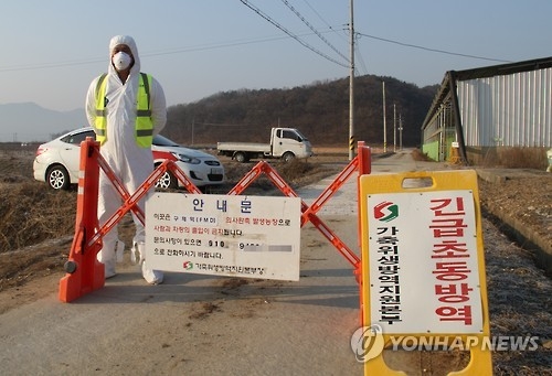 6번째 의심증상…구제역 터졌다 하면 충북 보은 왜? - 1