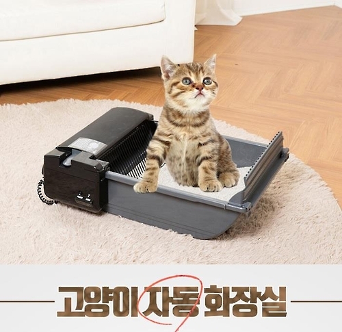 전용호텔서 쉬고. 다이어트스쿨 다닌다…반려동물도 상류층처럼 - 2