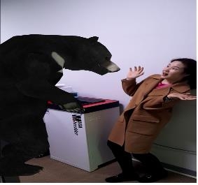 사진찍기 예시(반달가슴곰)
