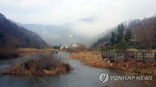 춘천 소양강댐 '가마골 생태공원' 7년만에 전면 개방 검토 - 1