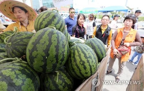 싱싱한 수박이 왔어요