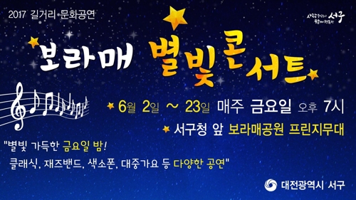대전 서구 '보라매 별빛 콘서트'