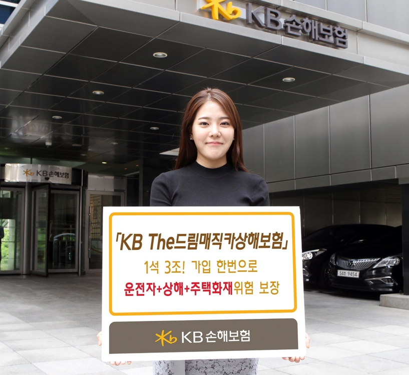 KB손해보험 상품홍보 이미지