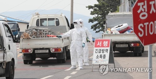 AI 방역 (연합뉴스 자료 사진)