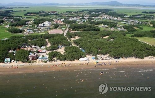 넓은 백사장과 송림을 갖춘 몽산포해수욕장