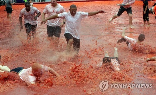 2017 화천토마토축제