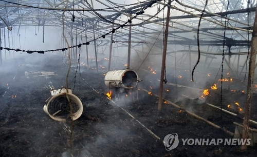 불에 탄 양계장 내부.