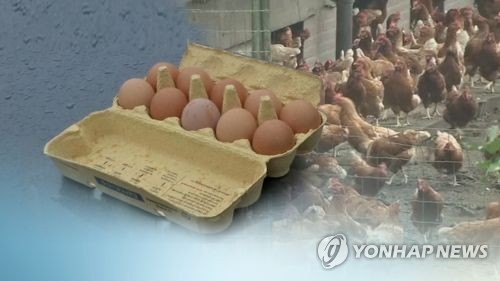 '살충제 계란' 파문…계란 들어간 식품안전 논란으로 확산(CG)