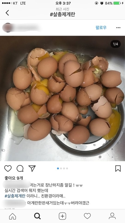 싱크대에 버려진 계란