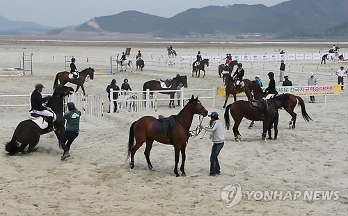 새만금서 즐기는 승마[연합뉴스 자료사진