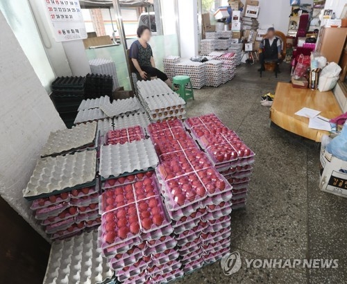 계란 한판 4천원대 하락…"싸게 내놔도 찾는 사람 없어"(종합) - 2