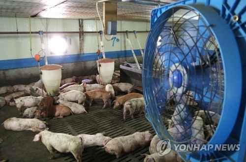 한여름 폭염