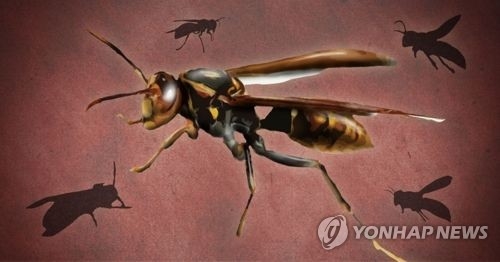 벌쏘임 사고(PG)