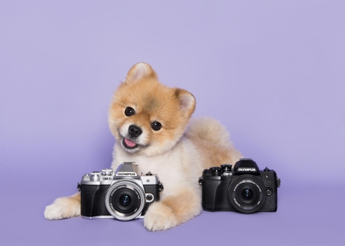 올림푸스한국, 'OM-D E-M10 Mark III' 출시