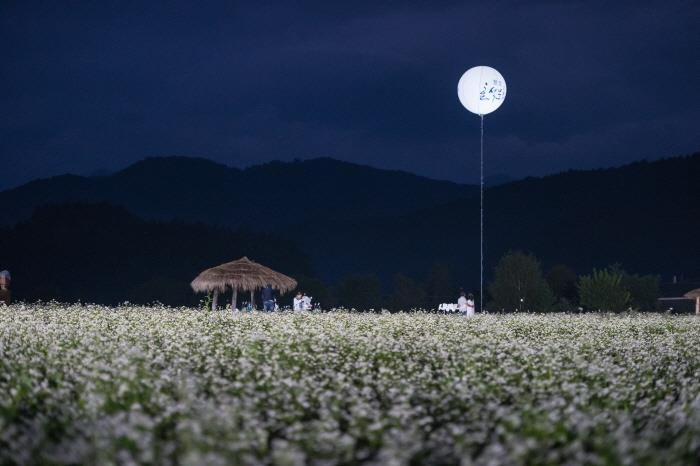 '메밀꽃 필 무렵' 무대인 강원도 봉평. 이곳에서는 매년 평창효석문화제가 열린다.