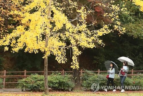 가을비 내리는 교정