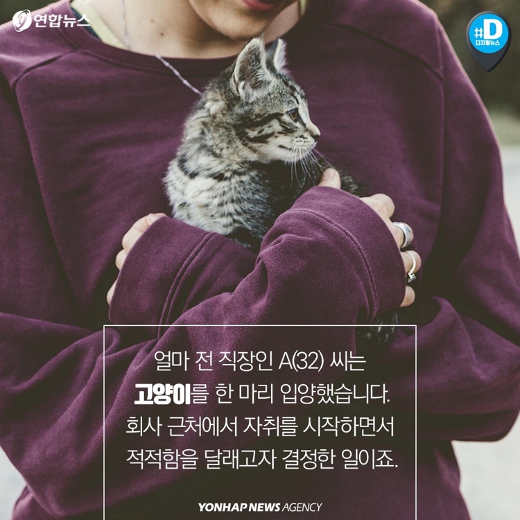 [카드뉴스] "가족이라면서요?"…유기동물 9만마리 육박 - 2