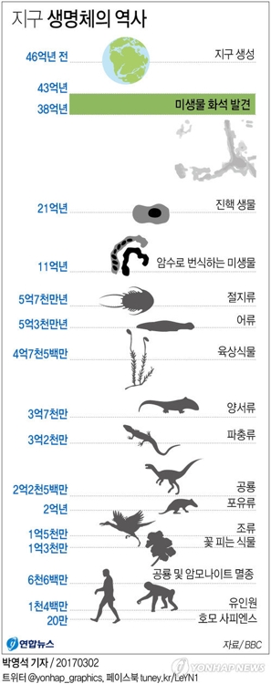 "지구 생명체, 39억5천만년 전 혜성충돌 시대에도 있었다" - 2