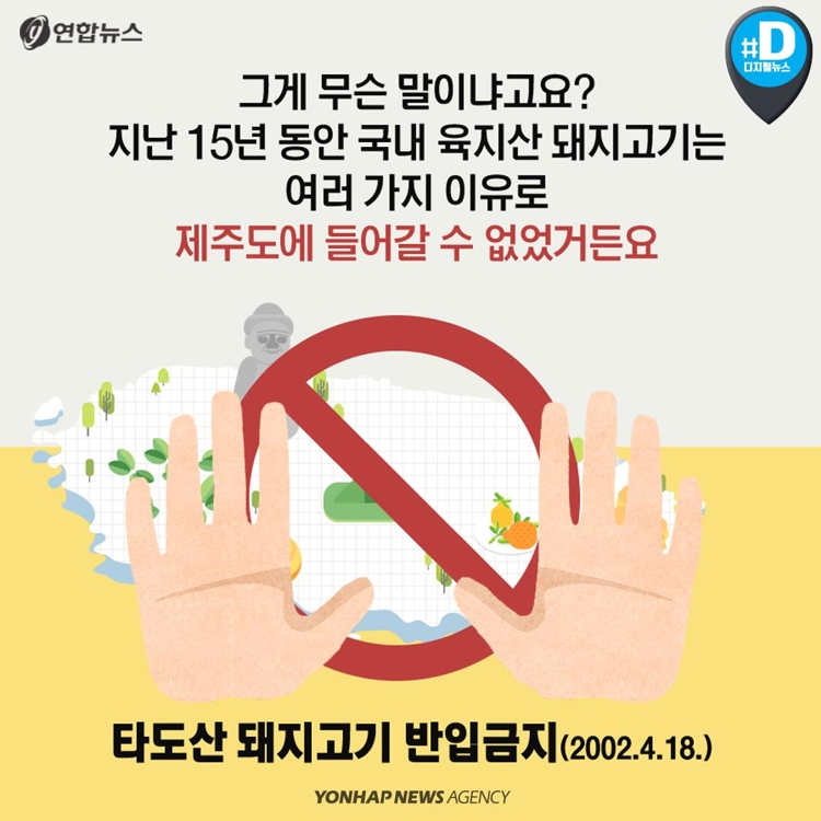 [카드뉴스] 제주산 vs 육지산 구별법… 육지 돼지, 웰컴 투 제주 - 3