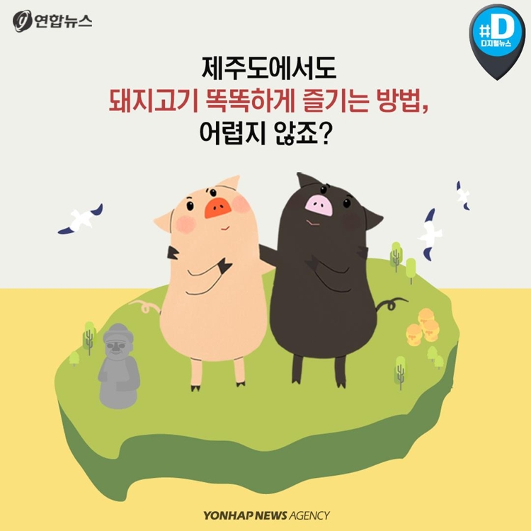 [카드뉴스] 제주산 vs 육지산 구별법… 육지 돼지, 웰컴 투 제주 - 11