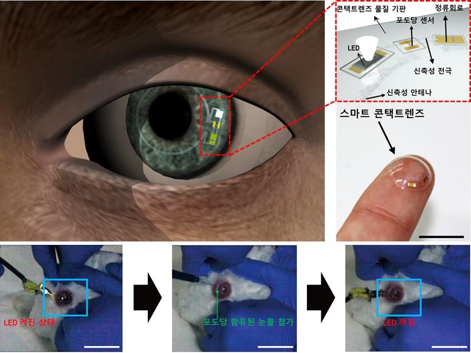 토끼 눈에 장착한 스마트 콘택트렌즈