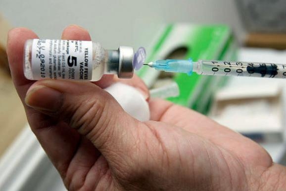 브라질에서 황열병 백신 접종 이후 부작용으로 사망하는 사례가 잇따르고 있다. [국영 뉴스통신 아젠시아 브라질]
