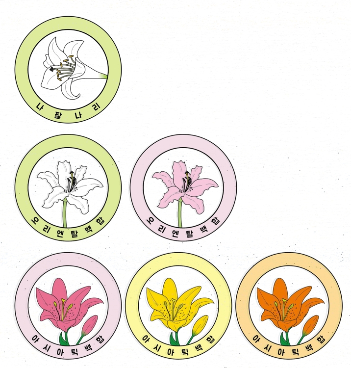 나리 꽃 스티커