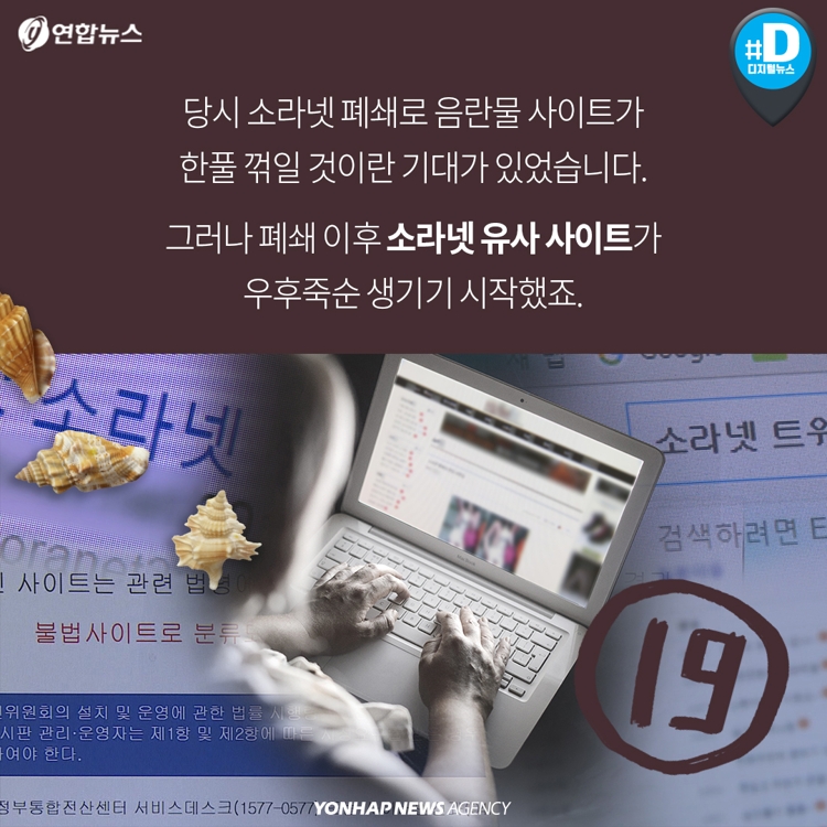 [카드뉴스] 폐쇄 2년 '소라넷' 죽지 않았다…"접속차단 소용없어" - 4