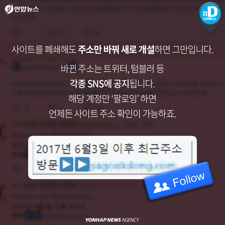 [카드뉴스] 폐쇄 2년 '소라넷' 죽지 않았다…"접속차단 소용없어" - 11