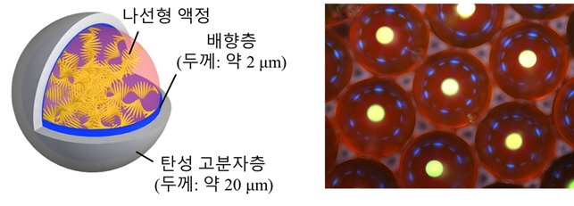 캡슐형 레이저 공진기 구성(왼쪽)과 광학 현미경 사진 [KAIST 제공=연합뉴스]