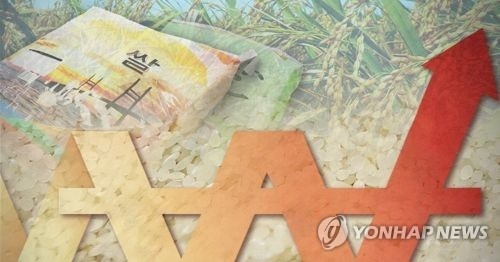 쌀 가격 상승 [연합뉴스 자료 PG]