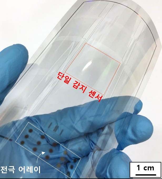 연구팀이 제작한 대면적 7인치 투명 유연 포스터치 센서 [KAIST 제공=연합뉴스]