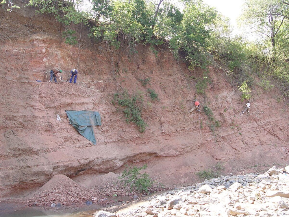 절벽에 매달려 공룡화석을 발굴하는 현장 
