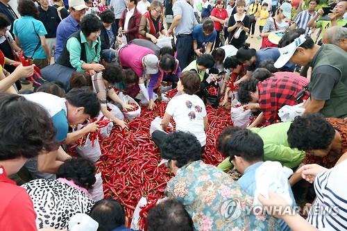 청양고추구기자축제