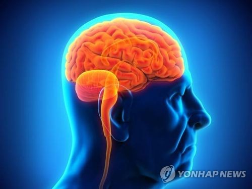 뇌과학에서 찾은 공감의 일곱 가지 열쇠 - 1