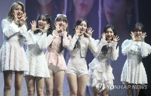 GOGO(고고)투어 이미지