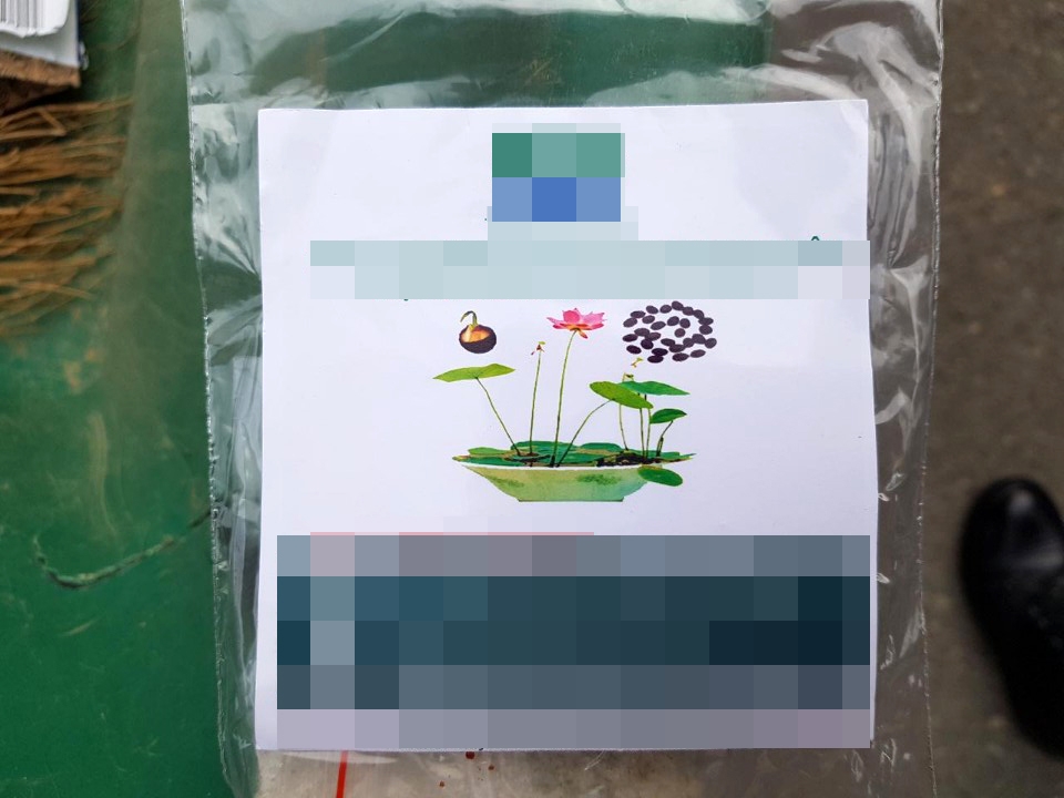 마약 의심 신고 접수된 연꽃가루 택배