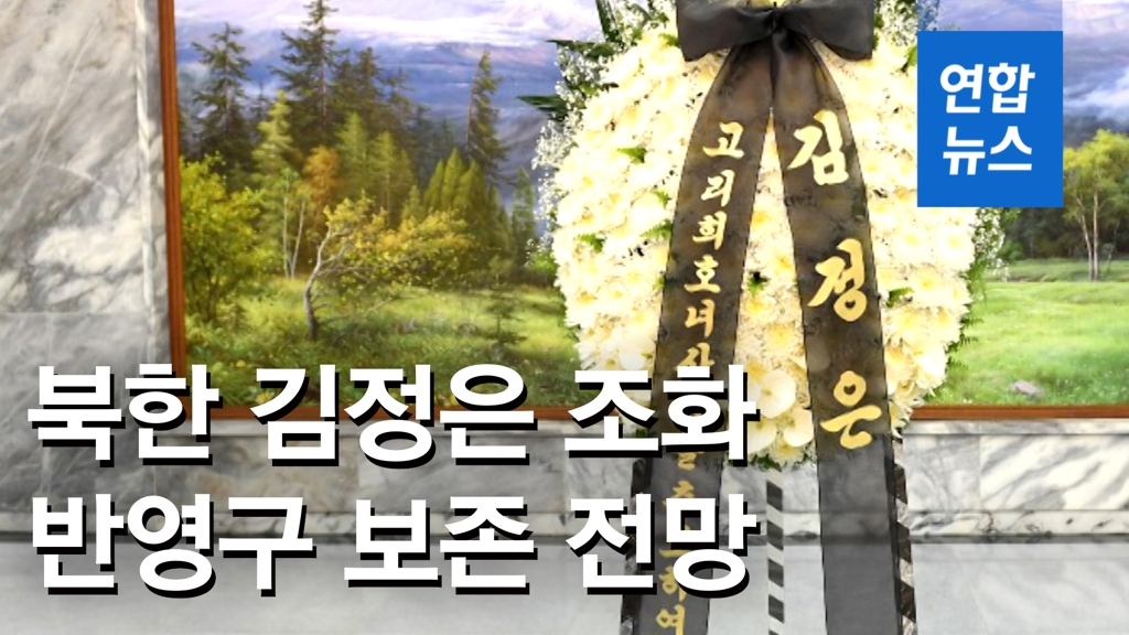 [영상] 故이희호 애도 '김정은 조화'…"남북관계 고려, 폐기 쉽지 않아" - 2