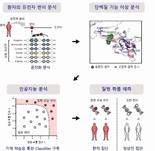 질병 확률 예측 기술 설명도