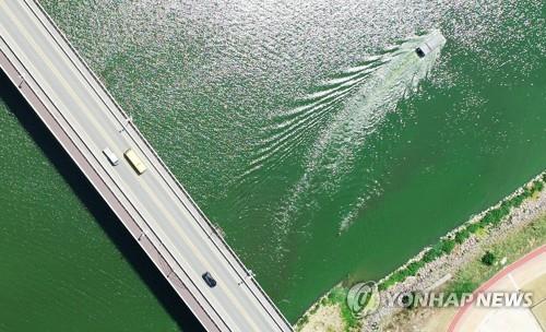 지난해 영산강 본류에 나타난 녹조 현상