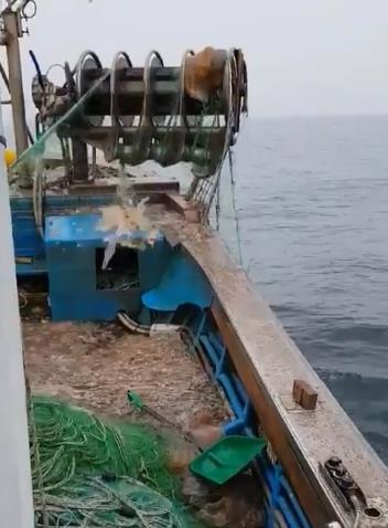 배 안 가득한 해파리