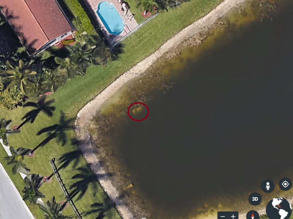 미국 플로리다의 한 호수에 가라앉은 22년 전 실종 남성 승용차