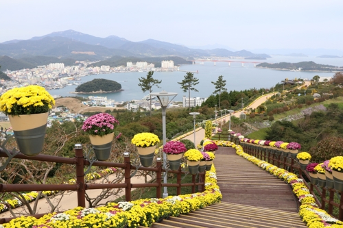 국화 전시