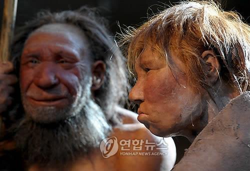 독일 메트만의 네안데르탈박물관 모형