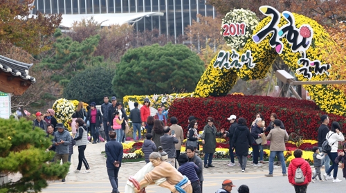 월출산 국화축제