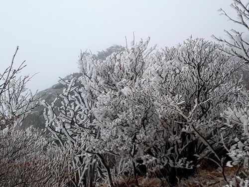 지리산 천왕봉 일대 상고대