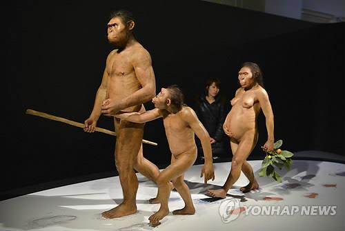 일본국립과학박물관에 전시됐던 오스트랄로피테쿠스 아파렌시스(루시) 일가족 모형
