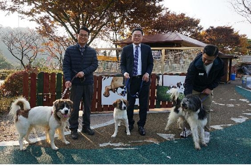 단모종 바둑이 삽살개 번식 성공