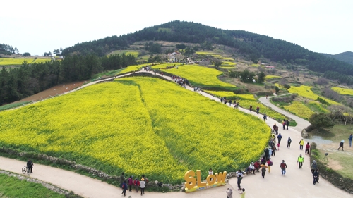 청산도
