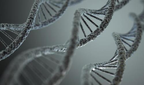 유전자 DNA 구조